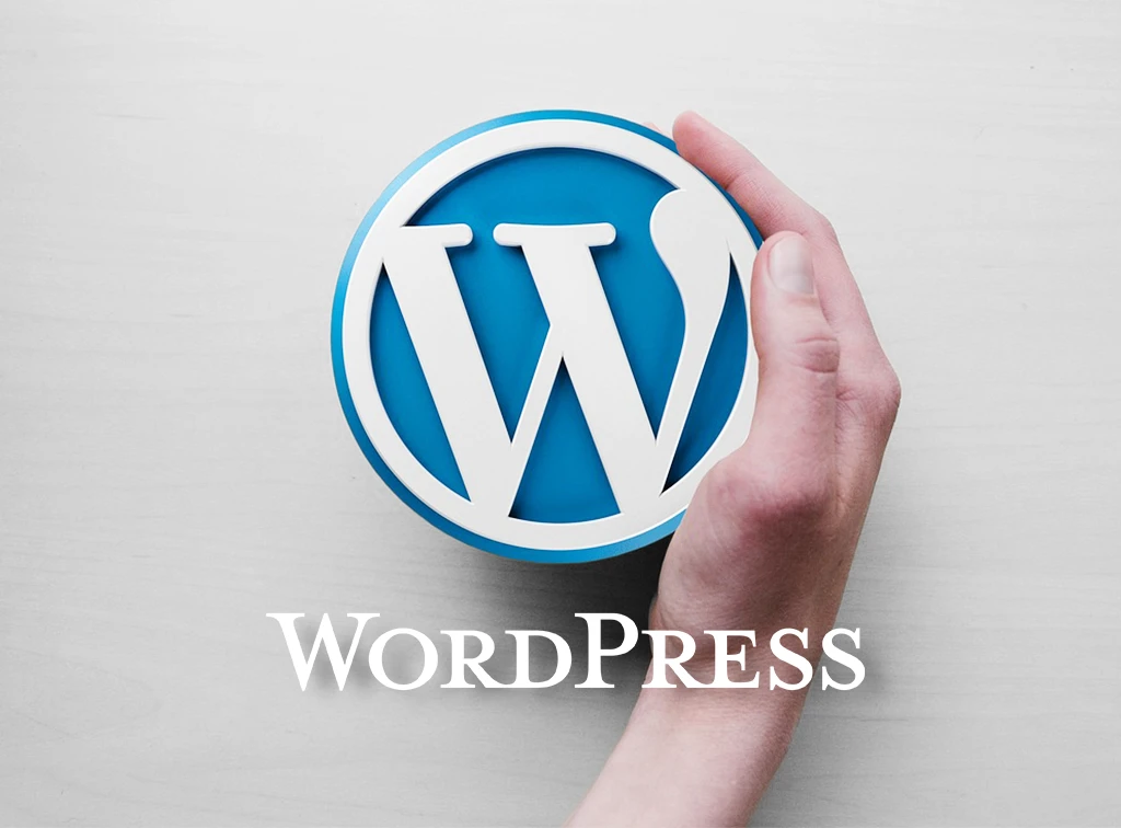 System 1 System - WordPress CMS