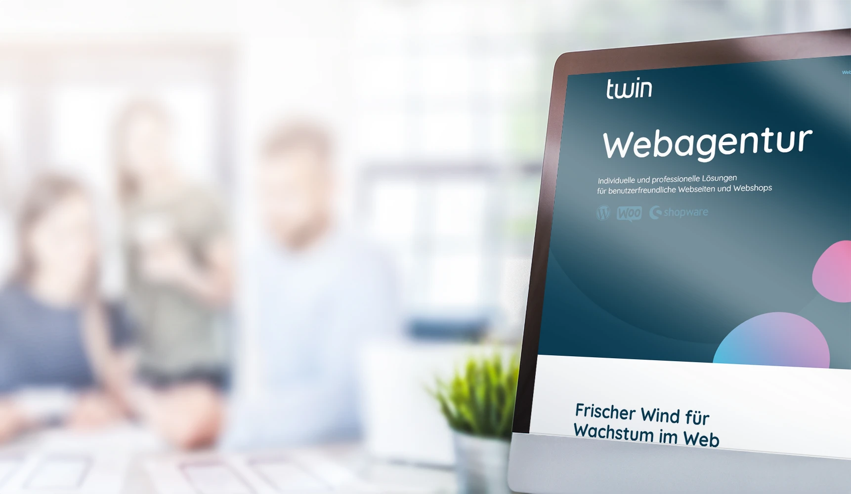 twin Webagentur